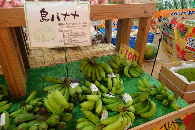 島バナナ　あたらす市場